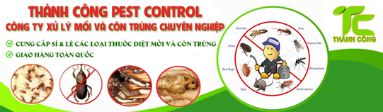 DỊCH VỤ DIỆT MỐI VÀ CÔN TRÙNG