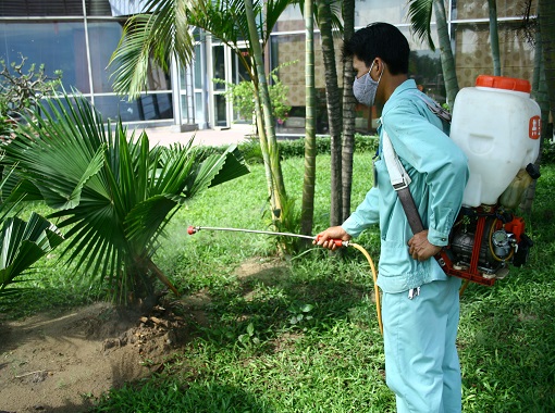 DỊCH VỤ DIỆT MỐI VÀ CÔN TRÙNG