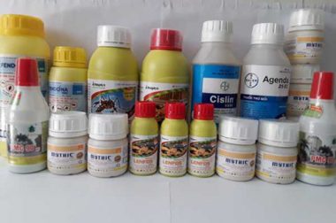 diet-moi-tan-goc-bang-thuoc-mat-bao-lau-2.jpg