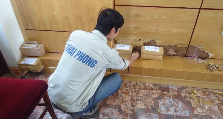 DỊCH VỤ DIỆT MỐI VÀ CÔN TRÙNG