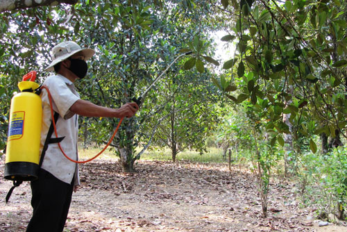 DỊCH VỤ DIỆT MỐI VÀ CÔN TRÙNG