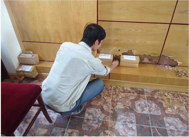 mach-ban-cach-diet-moi-tai-nha-don-gian-va-hieu-qua-1.jpg