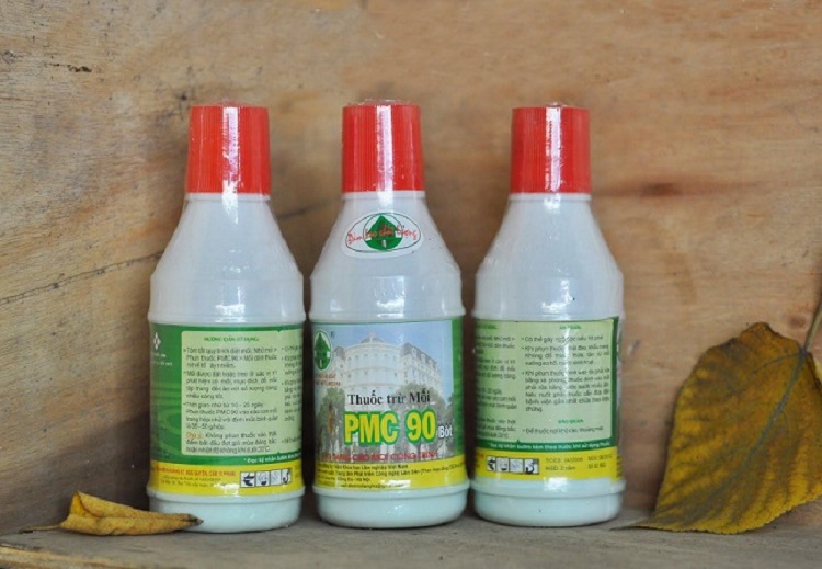 DỊCH VỤ DIỆT MỐI VÀ CÔN TRÙNG