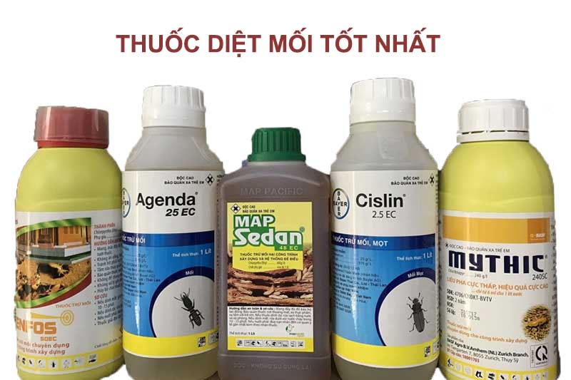 DỊCH VỤ DIỆT MỐI VÀ CÔN TRÙNG