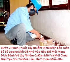 Buoc%202%20phun%20thuoc.jpg