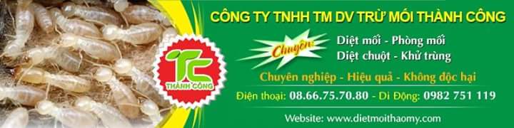 DỊCH VỤ DIỆT MỐI VÀ CÔN TRÙNG