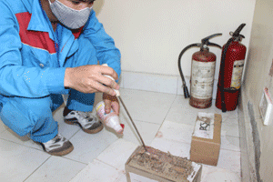 DỊCH VỤ DIỆT MỐI VÀ CÔN TRÙNG