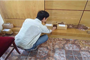 DỊCH VỤ DIỆT MỐI VÀ CÔN TRÙNG